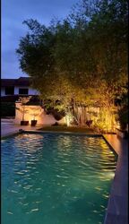 Bukit Timah Road (D10), Detached #498248731